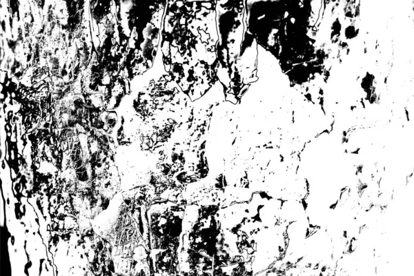 Fondo Abstracto Textura Monocromática Fondo Texturizado Blanco Negro —  Fotos de Stock