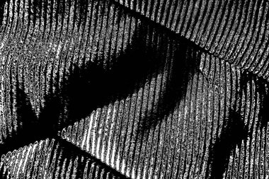 Soyut arkaplan. Monokrom dokusu. Siyah ve beyaz desenli arkaplan. 