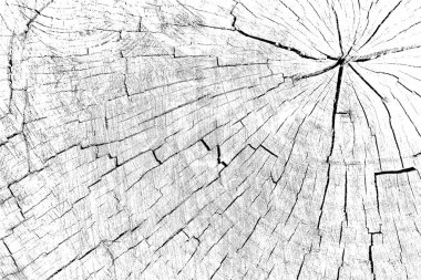 Soyut arkaplan. Monokrom dokusu. Siyah ve beyaz desenli arkaplan. 