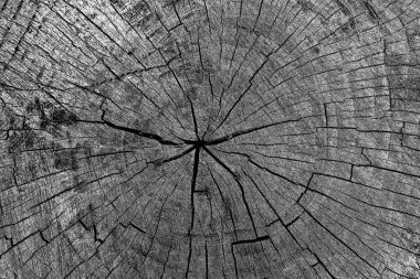 Soyut arkaplan. Monokrom dokusu. Siyah ve beyaz desenli arkaplan. 