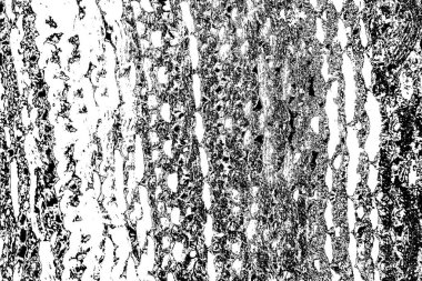 Soyut arkaplan. Monokrom dokusu. Siyah ve beyaz desenli arkaplan. 