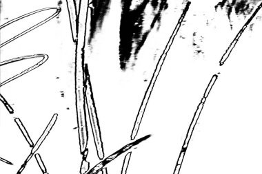 Soyut arkaplan. Monokrom dokusu. Siyah ve beyaz desenli arkaplan. 