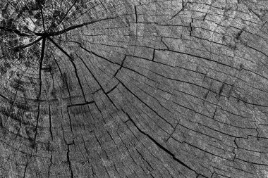 Soyut arkaplan. Monokrom dokusu. Siyah ve beyaz desenli arkaplan. 