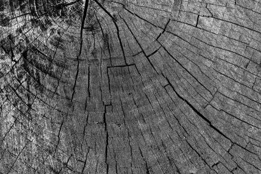 Soyut arkaplan. Monokrom dokusu. Siyah ve beyaz desenli arkaplan. 