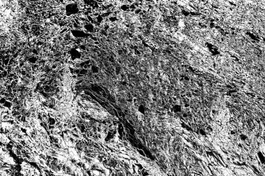 Nehrin kenarındaki uçurum. Transcarpathia