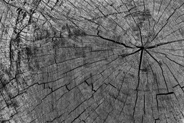 Soyut arkaplan. Monokrom dokusu. Siyah ve beyaz desenli arkaplan. 