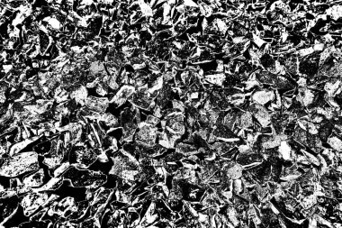 Doğada kayalık yol