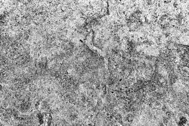 Yangın sonrası çorak arazi: kuru zemin, yanmış kuru saman