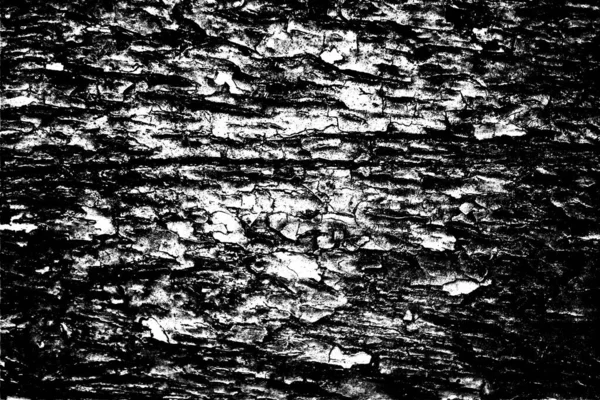 Abstract Background Monochrome Texture Black White Textured Background — Stock Photo, Image