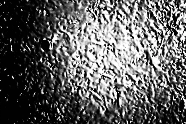 Contexte Abstrait Texture Monochrome Fond Texturé Noir Blanc — Photo