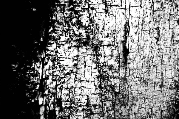 Fondo Abstracto Textura Monocromática Fondo Texturizado Blanco Negro — Foto de Stock