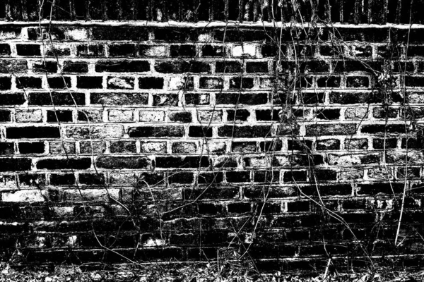 Background Texture Brick Wall — Stock Photo, Image