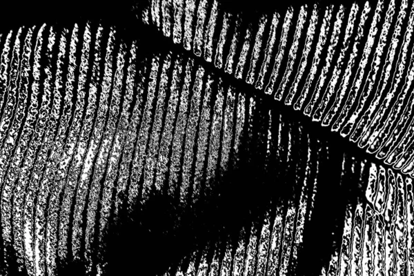 stock image Abstract background. Monochrome texture. Black and white textured background. 