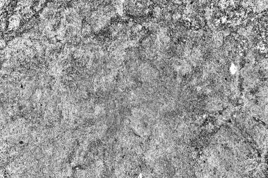 Yangın sonrası çorak arazi: kuru zemin, yanmış kuru saman