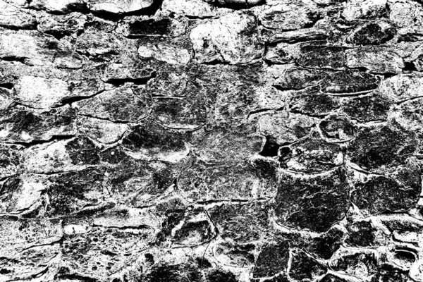 Fondo Abstracto Textura Monocromática Fondo Texturizado Blanco Negro — Foto de Stock