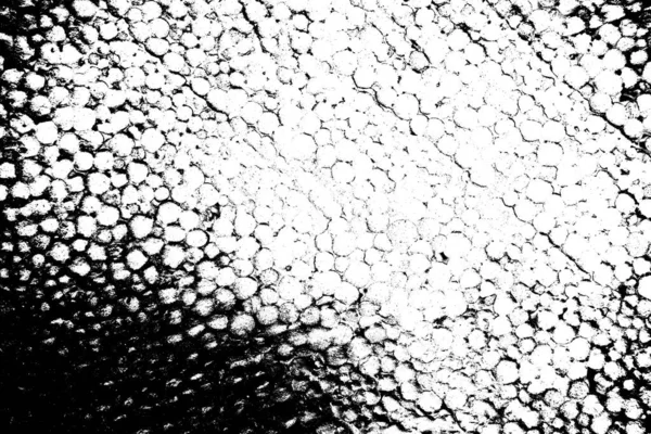 Fundo Abstrato Textura Monocromática Preto Branco Texturizado Fundo — Fotografia de Stock