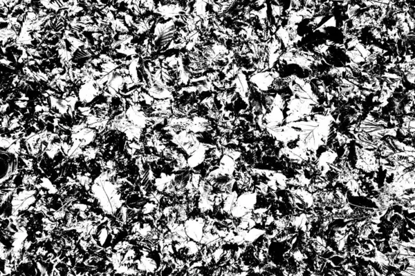 Abstract Background Monochrome Texture Black White Textured Background — Stock Photo, Image