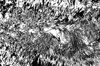 Soyut arkaplan. Monokrom dokusu. Siyah ve beyaz desenli arkaplan.   