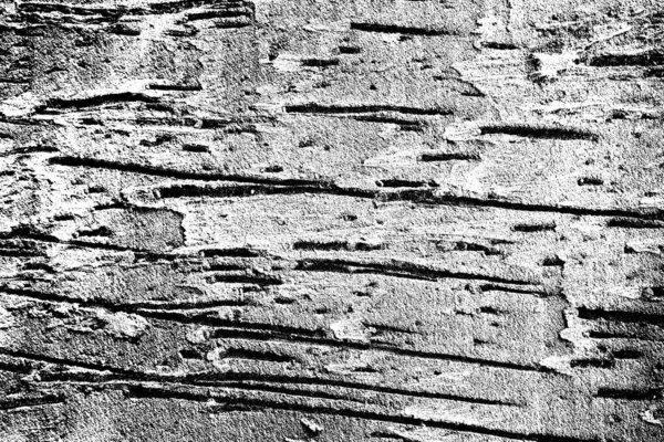 Fondo Abstracto Textura Monocromática Fondo Texturizado Blanco Negro — Foto de Stock