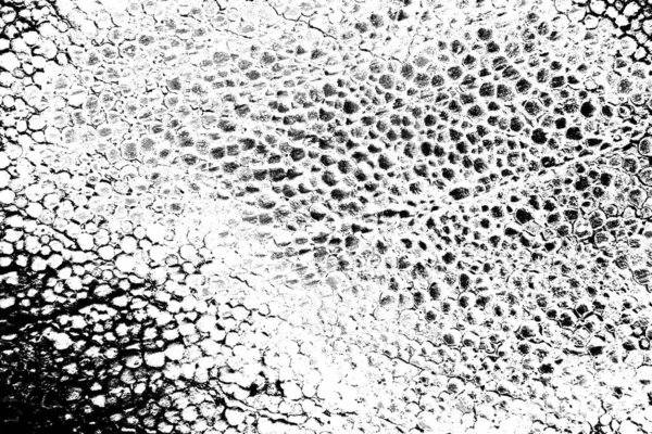 Zbliżenie Pianki Polistyrenowej Mnóstwo Małych Dużych Pęcherzyków Styropianu Tekstury Tła — Zdjęcie stockowe