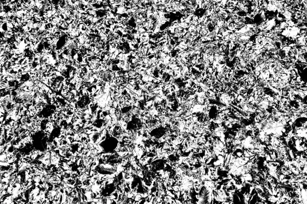 Contexte Abstrait Texture Monochrome Fond Texturé Noir Blanc — Photo