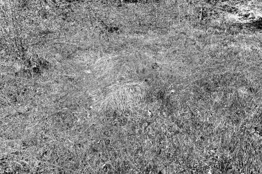 Soyut arkaplan. Monokrom dokusu. Siyah ve beyaz desenli arkaplan.      