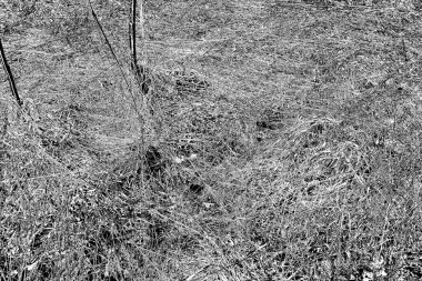 Soyut arkaplan. Monokrom dokusu. Siyah ve beyaz desenli arkaplan.      