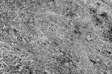 Soyut arkaplan. Monokrom dokusu. Siyah ve beyaz desenli arkaplan.      