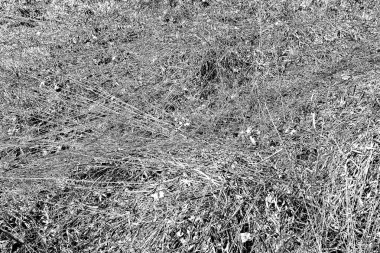 Soyut arkaplan. Monokrom dokusu. Siyah ve beyaz desenli arkaplan.      