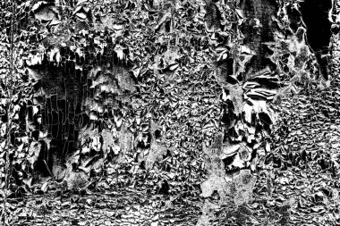 Duvar dokusu arkaplanı eski boyayla soyulmuş