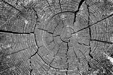 Ahşap doku siyah beyaz arkaplan