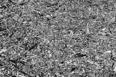 Soyut arkaplan. Monokrom dokusu. Siyah ve beyaz desenli arkaplan.      