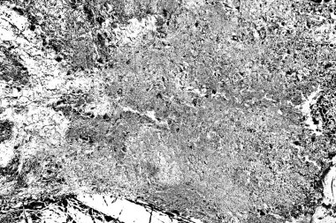 Soyut arkaplan. Monokrom dokusu. Siyah ve beyaz desenli arkaplan.      