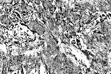 Çürümüş ağaç, kapat.