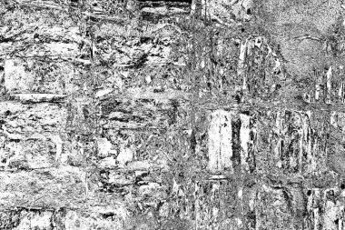 Soyut arkaplan. Monokrom dokusu. Siyah ve beyaz desenli arkaplan.      