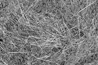 Soyut arkaplan. Monokrom dokusu. Siyah ve beyaz desenli arkaplan.   