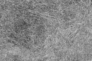 Soyut arkaplan. Monokrom dokusu. Siyah ve beyaz desenli arkaplan.   