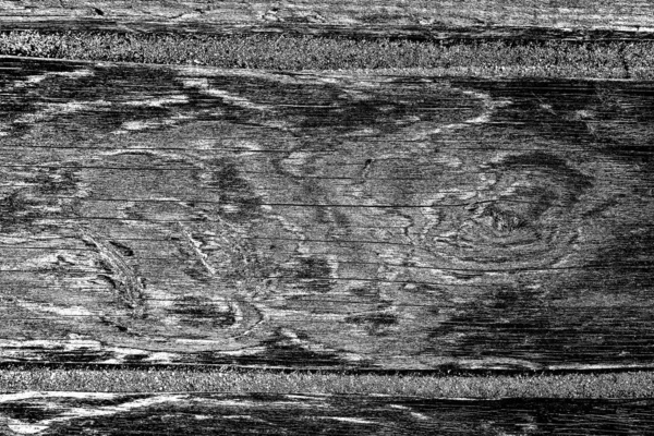 Textura Madera Fondo Blanco Negro — Foto de Stock