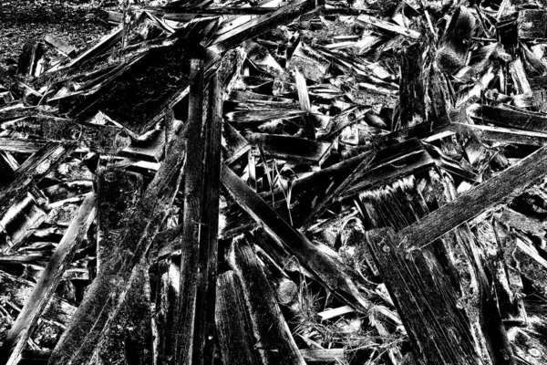 Pile Wood Logs Wood Logs Texture Background — Stock Photo, Image