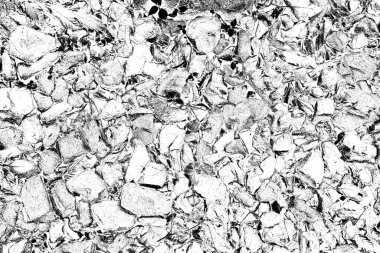 Doğada kayalık yol