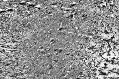 İşlemde koyun yünü