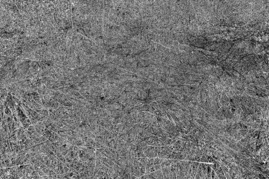 İlkbaharda ormanın kenarında kuru otlar. Transcarpathia