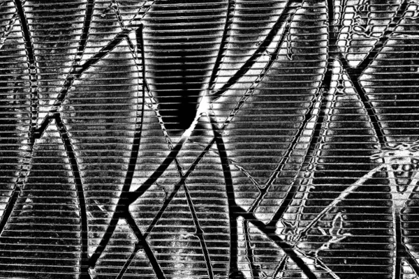 Soyut arkaplan. Monokrom dokusu. Siyah ve beyaz desenli arkaplan.      