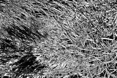 Altın ve kahverengi kürk dokusu arkaplanı