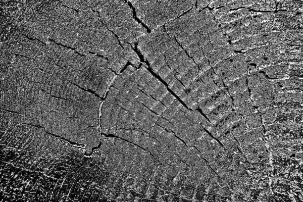 木の質感黒と白の背景 — ストック写真