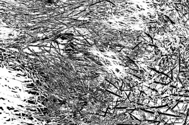 Soyut arkaplan. Monokrom dokusu. Siyah ve beyaz desenli arkaplan.      