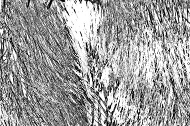 Soyut arkaplan. Monokrom dokusu. Siyah ve beyaz desenli arkaplan.      