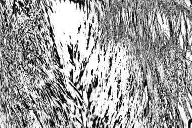 Soyut arkaplan. Monokrom dokusu. Siyah ve beyaz desenli arkaplan.      