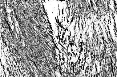 Soyut arkaplan. Monokrom dokusu. Siyah ve beyaz desenli arkaplan.      