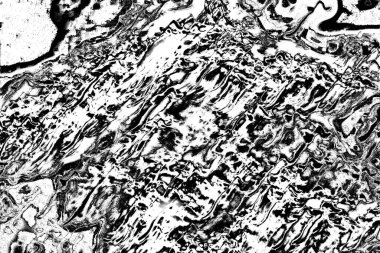 Soyut arkaplan. Monokrom dokusu. Siyah ve beyaz desenli arkaplan.      